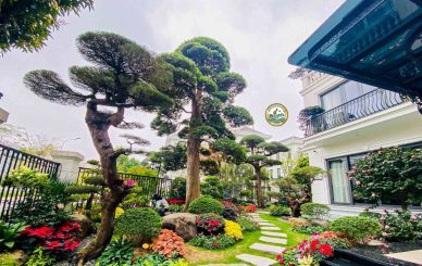 Thiết kế sân vườn tại Vinhomes Đan Phượng