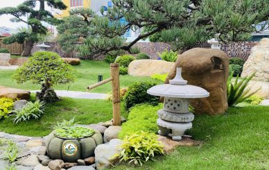 Thiết kế sân vườn Tiểu cảnh