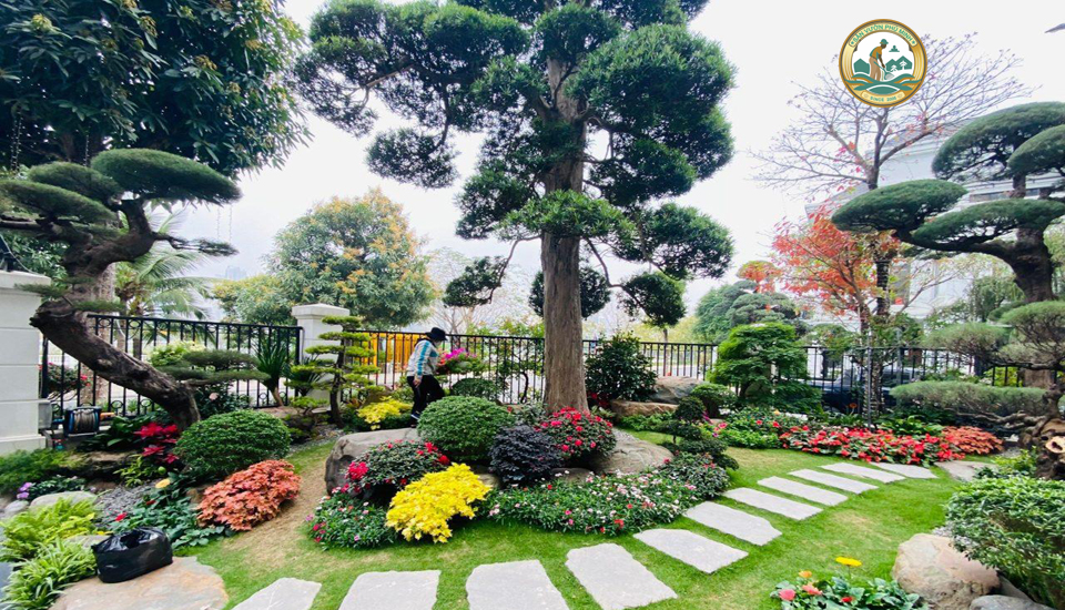 Thiết kế sân vườn Tiểu cảnh tại Hà Nội