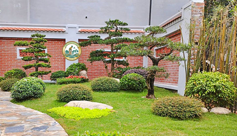 Thiết kế tiểu cảnh Sân vườn tại Thường Tín