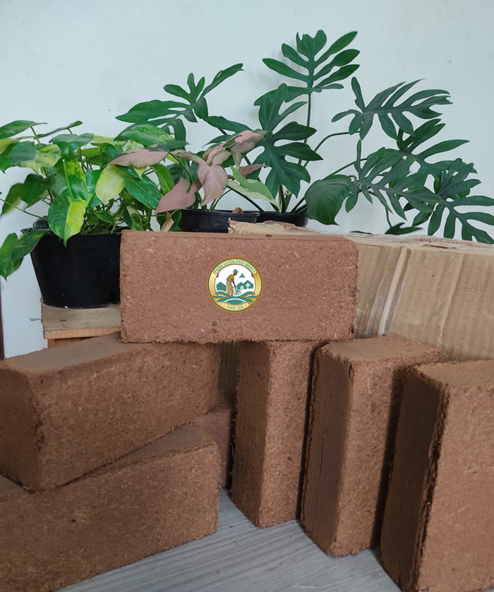 viên nén xơ dừa hà nội