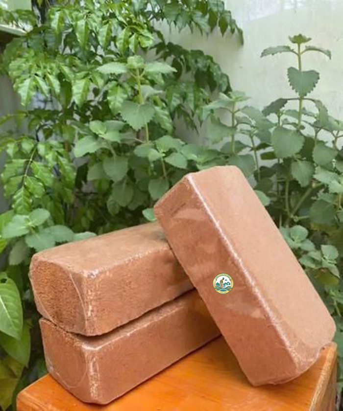 viên nén xơ dừa trồng cây