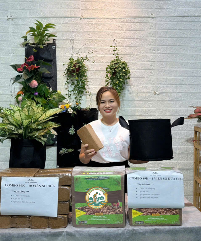 viên nén xơ dừa ươm cây