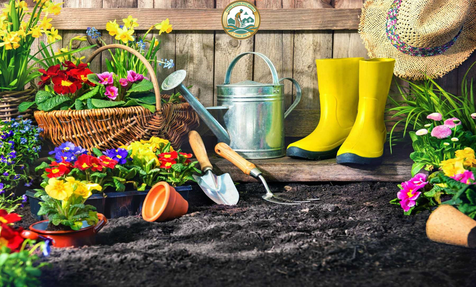 Thiết bị sân vườn