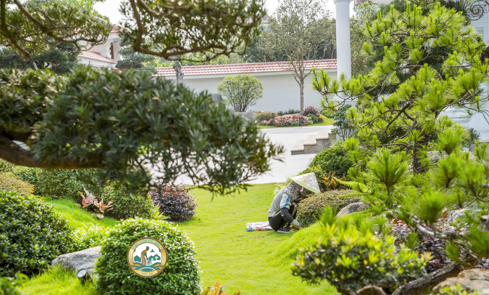 cắt cỏ sân vườn tại nhà hà nội