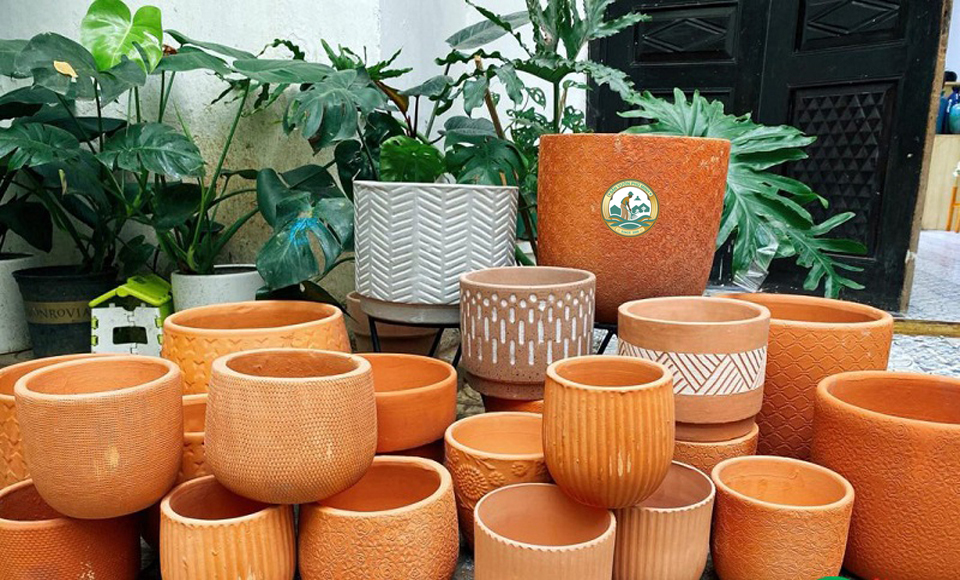 Chậu cây cảnh bằng gốm