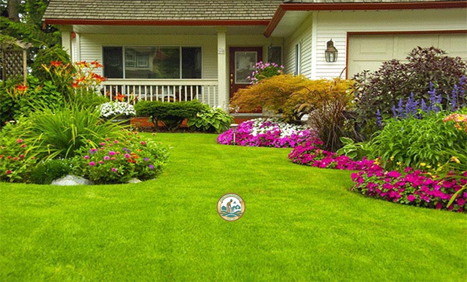 cỏ thảm tự nhiên sân vườn