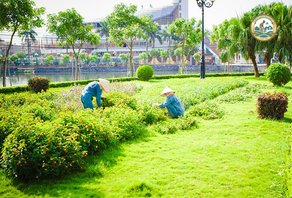 dịch vụ cắt cỏ tại hà nội