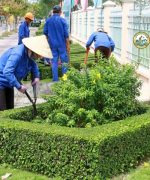 dịch vụ vệ sinh sân vườn