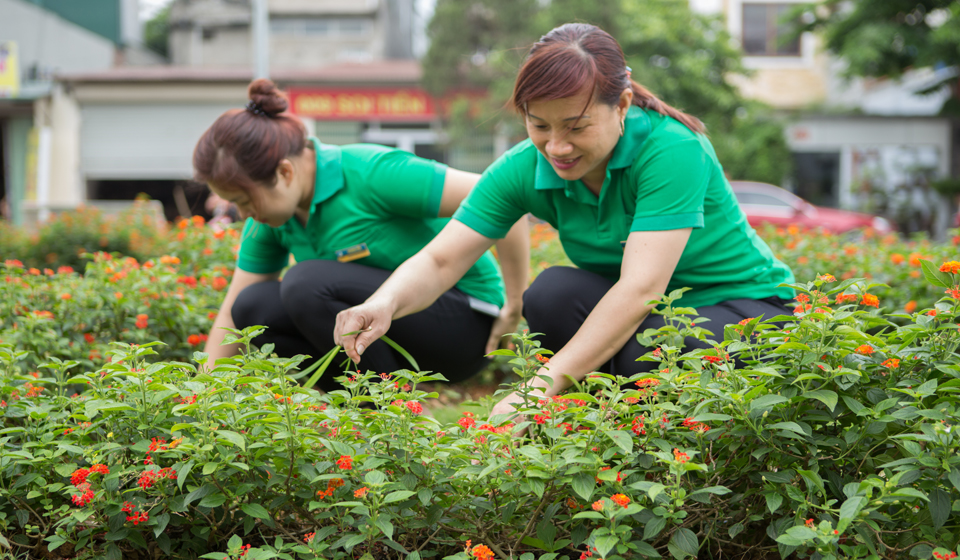 Tuyển dụng nhân viên chăm sóc cây
