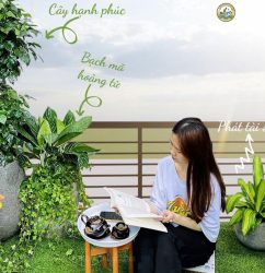 dịch vụ trồng cây ban công