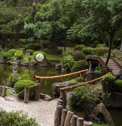 dịch vụ trồng cây sân vườn