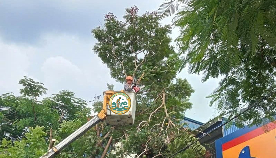 Dịch vụ chặt cây xanh tại Hoàn Kiếm