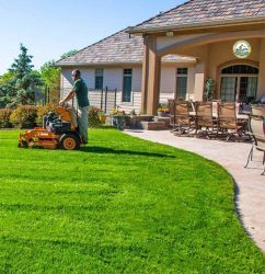 dịch vụ trồng cỏ giá rẻ