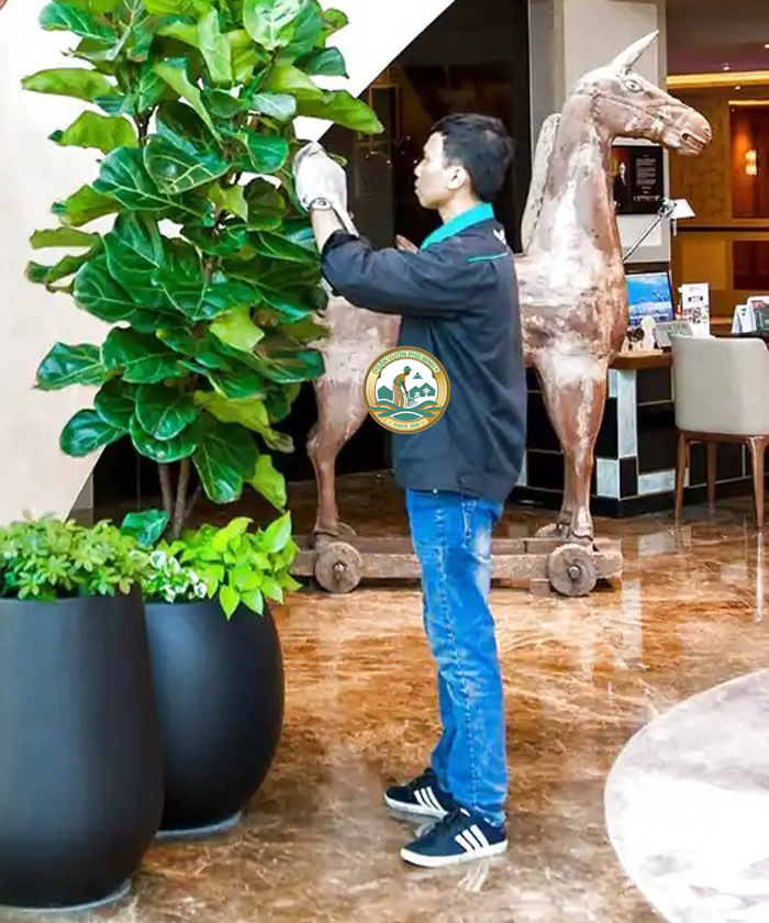 Chăm Sóc Cây cảnh Tại nhà Chăm Sóc Cây cảnh Tại nhà