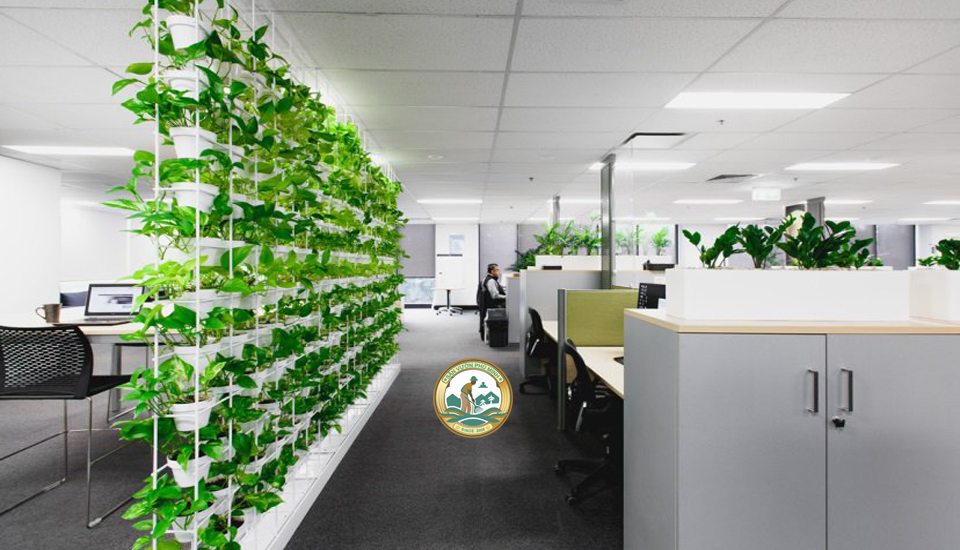 công ty cho thuê cây cảnh hà nội