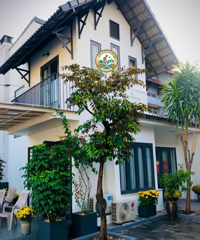 mua cây vũ sữa