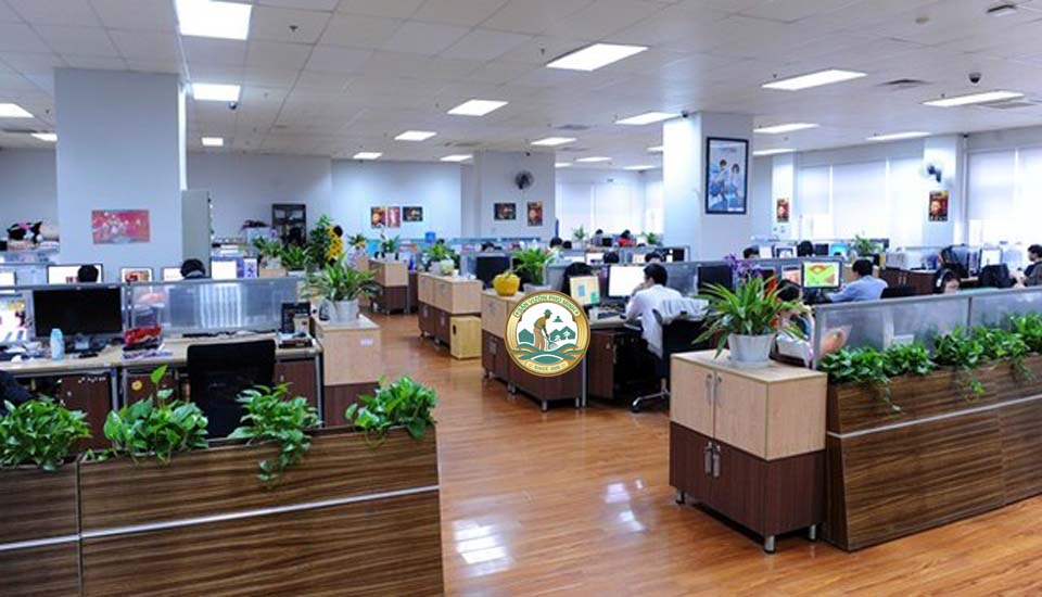 Thuê cây xanh văn phòng tại đống đa