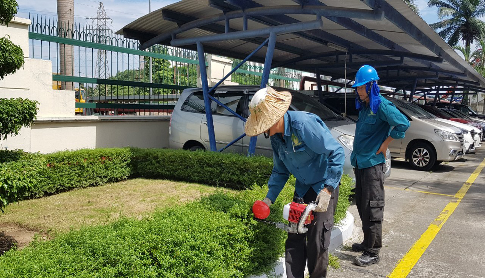 Trồng cây xanh tại nhà Đống Đa