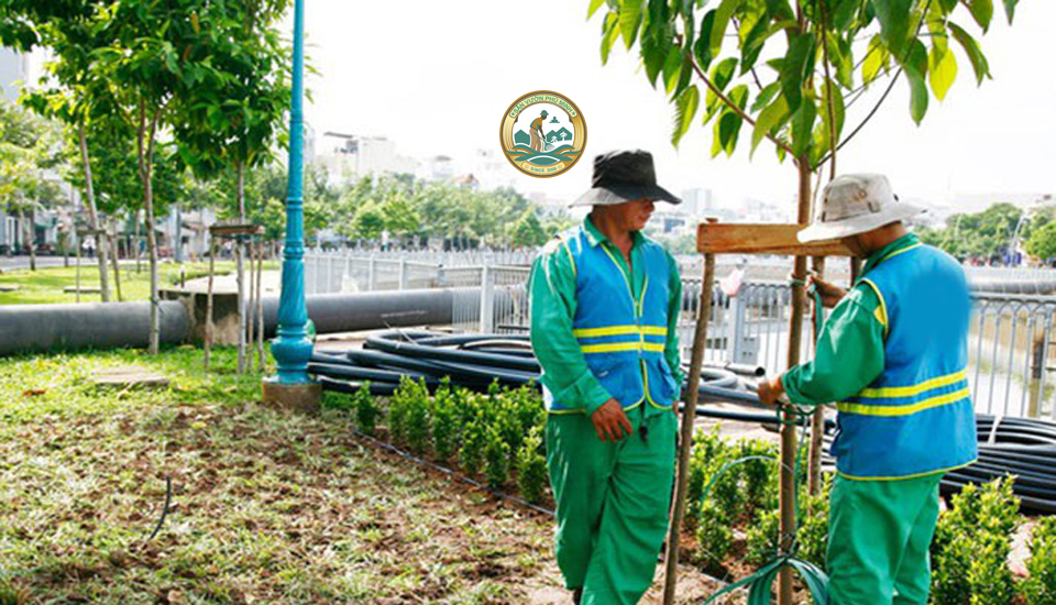 Trồng cây xanh tại nhà Hoàn kiếm