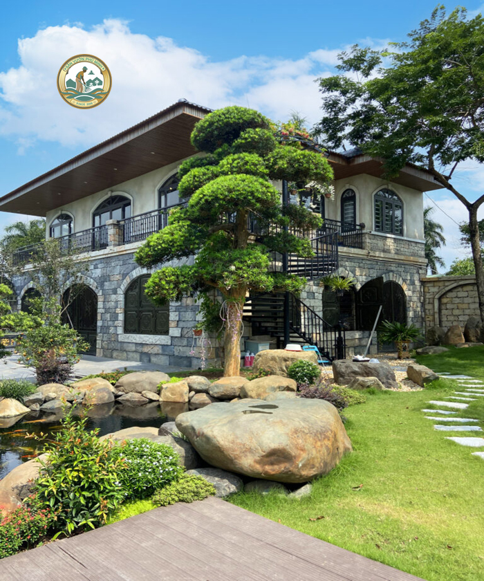 bán tùng la hán hà nội