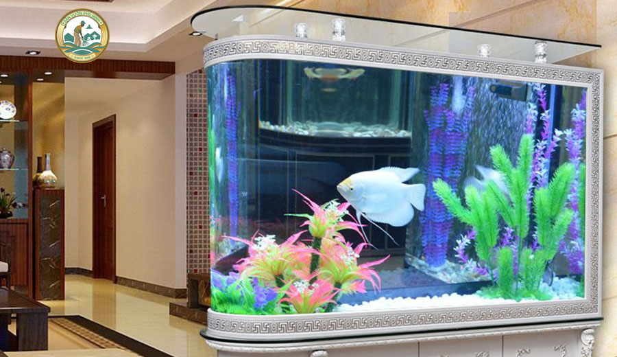 bán bể cá cảnh tại Hà Nội