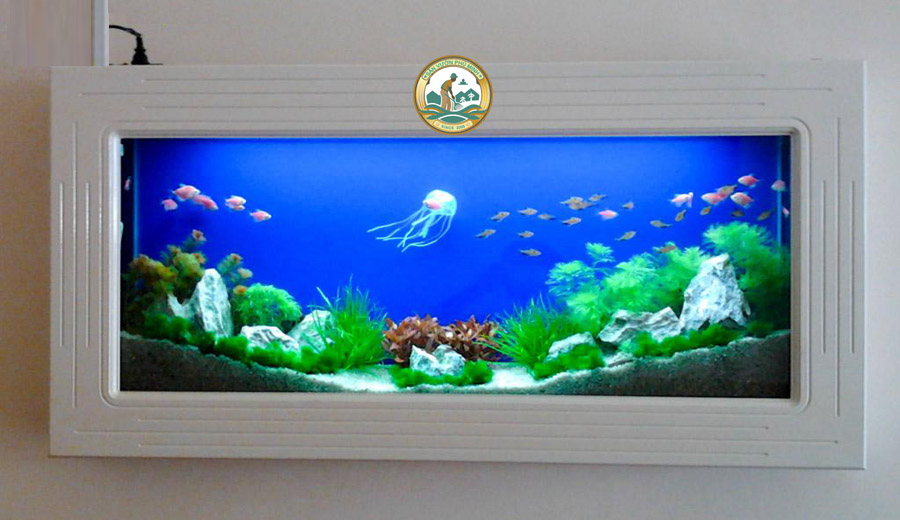 bán bể cá treo tường