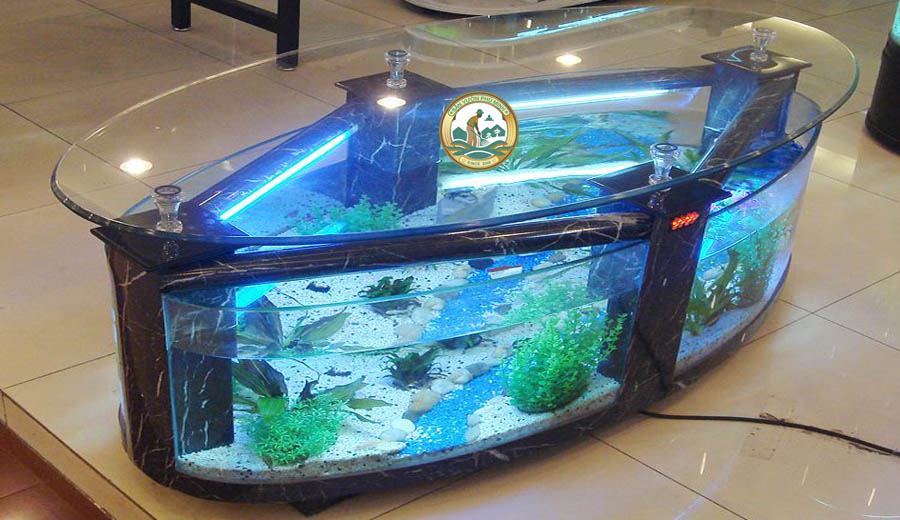 bể cá cảnh giá rẻ