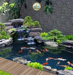 Bể Cá Cảnh Sân vườn