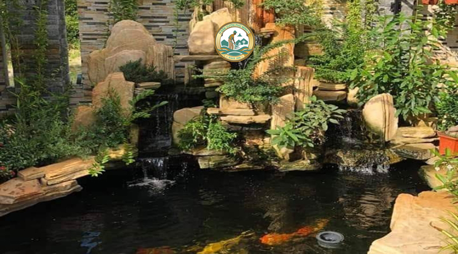 bể cá cảnh sân vườn non bộ