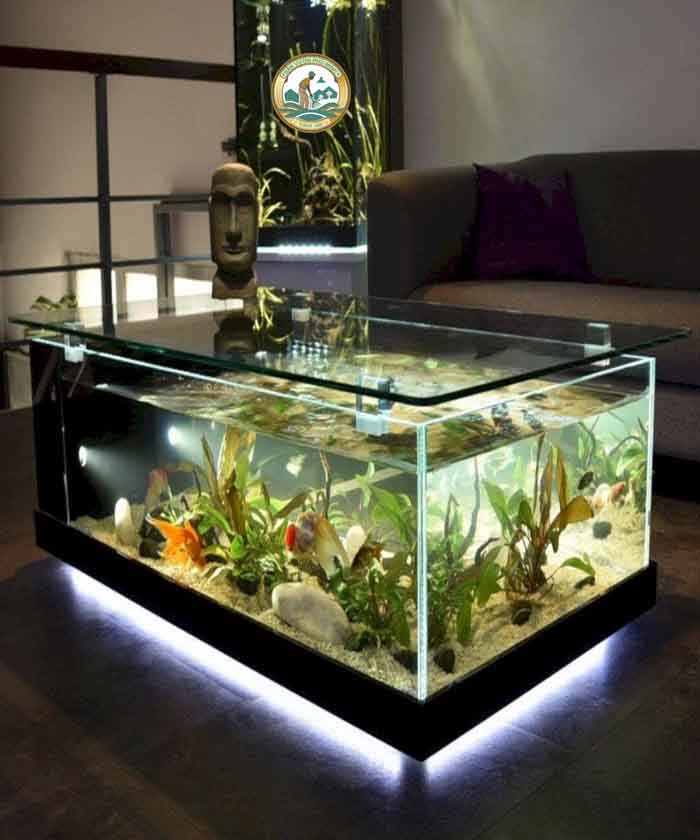 Bể Cá Cảnh Trong Nhà Hà Nội Bể Cá Cảnh Trong Nhà Hà Nội