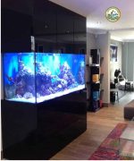 Bể Cá cảnh Trong Nhà tại Hà Nội