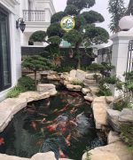 Bể Cá Sân vườn