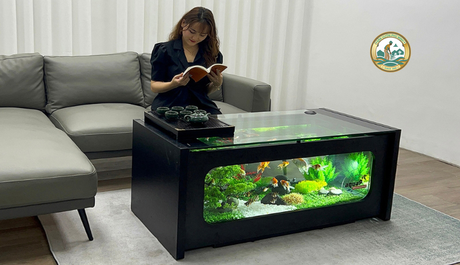 bể cá sân vườn phú minh