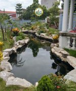 Bể Cá Sân vườn tại Hà Nội