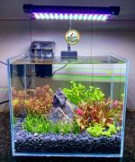 Bể Cá Thủy Sinh Hà Nội