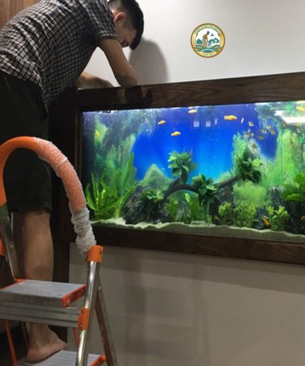 bể cá treo tường hà nội