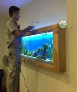 bể cá treo tường tại hà nội