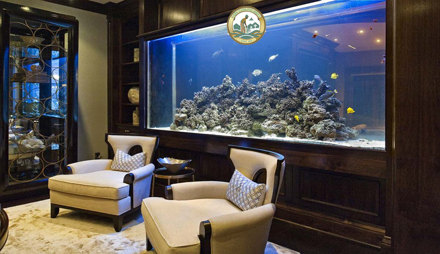 giá bể cá cảnh trong nhà