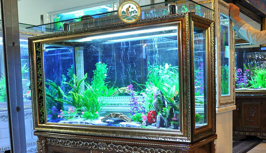 giá bể cá cảnh