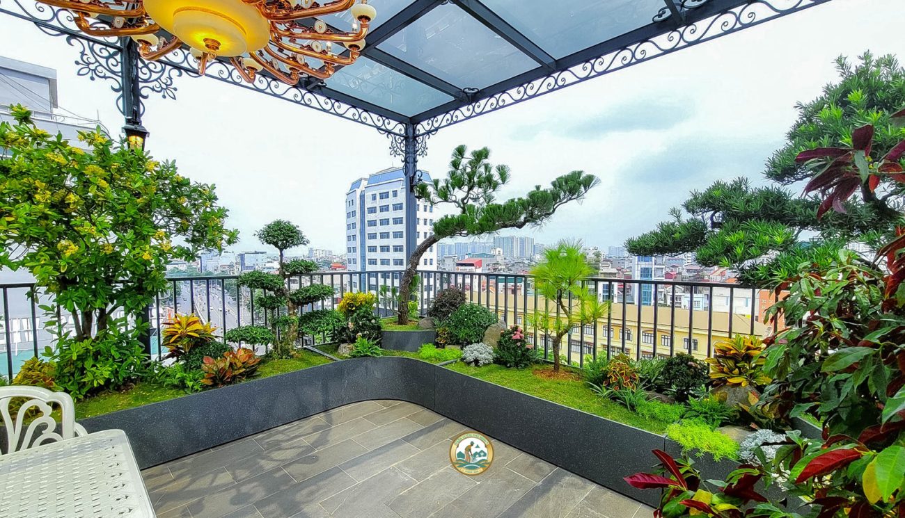 Thiết kế Sân vườn Giá rẻ tại Hà Nội