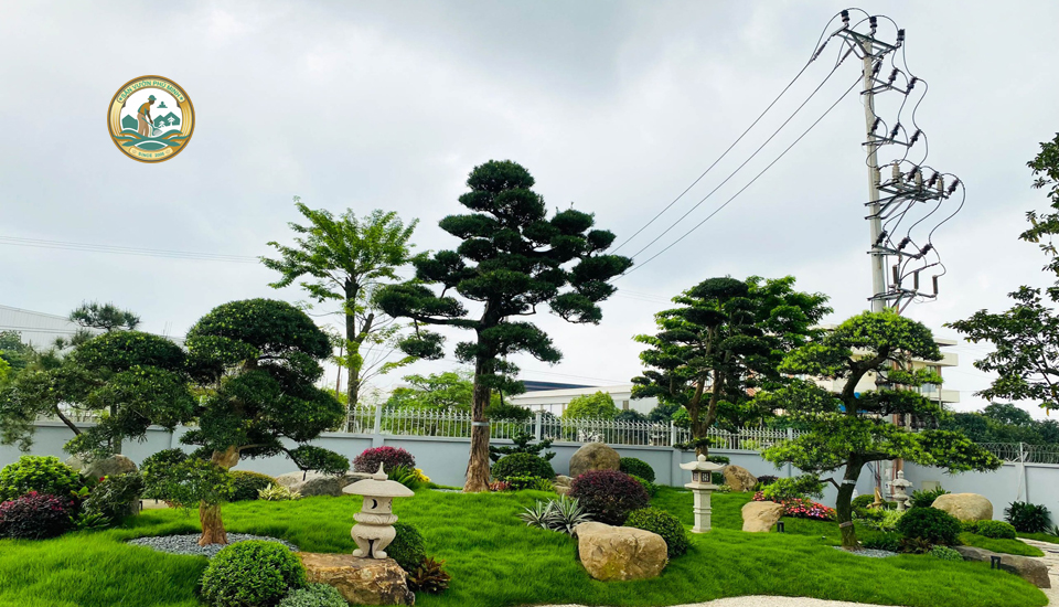 Thiết kế Sân vườn Giá rẻ