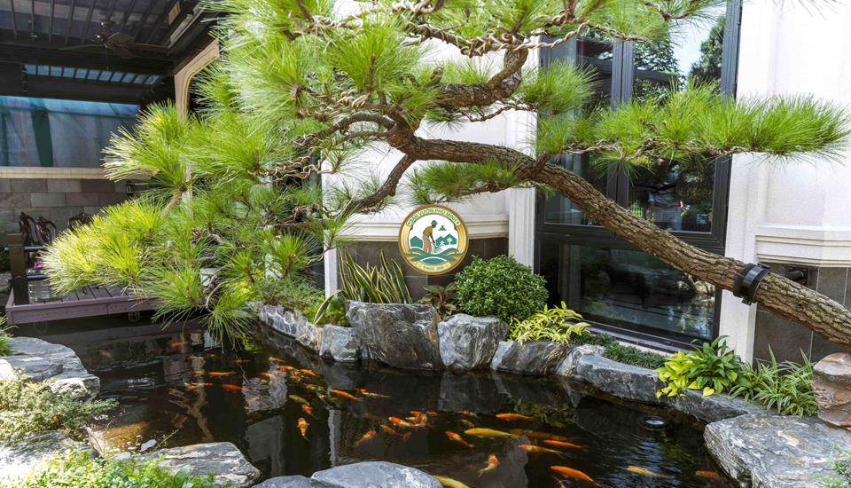 Thiết kế sân vườn Tiểu cảnh Hà Nội