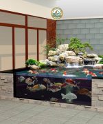 Thiết kế Thi công Bể Cá cảnh Sân vườn