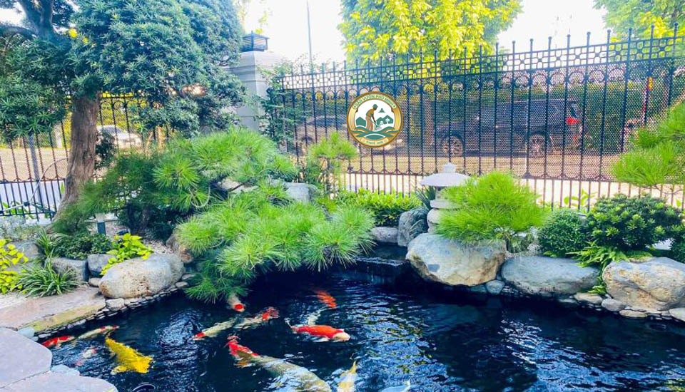 Thiết kế Tiểu cảnh Sân vườn tại Vinhomes Đông Anh