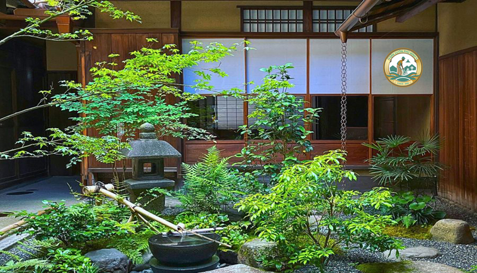 Thiết kế Tiểu cảnh Sân vườn tại Ninh Bình