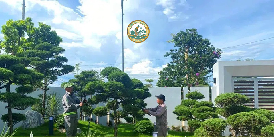 cắt tỉa cây xanh sân vườn